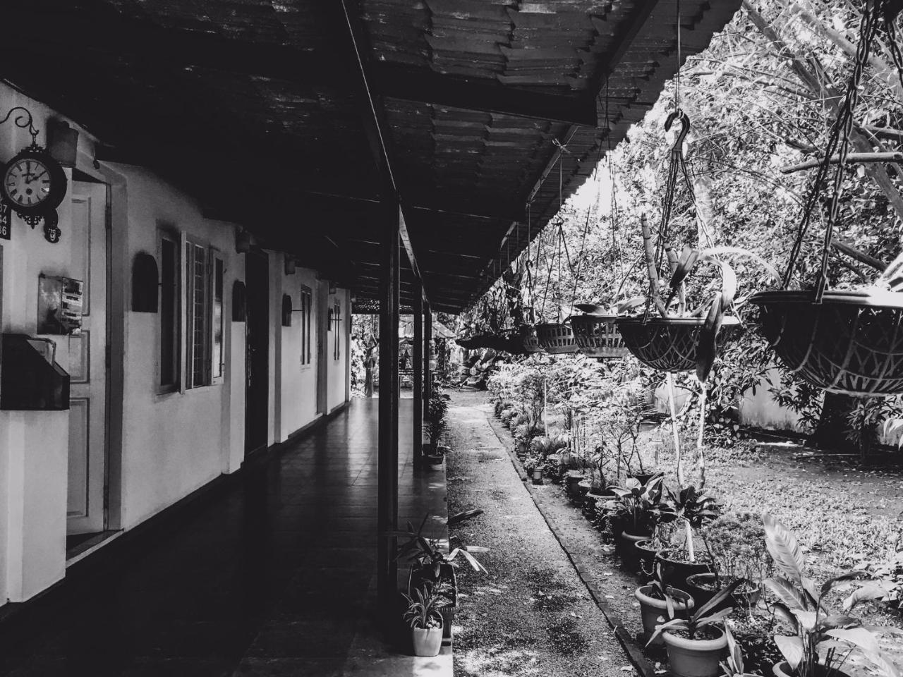 Palm Grove Service Villa Kochi Luaran gambar