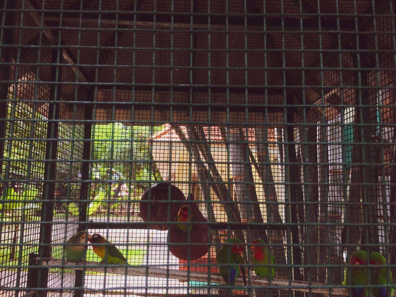Palm Grove Service Villa Kochi Luaran gambar