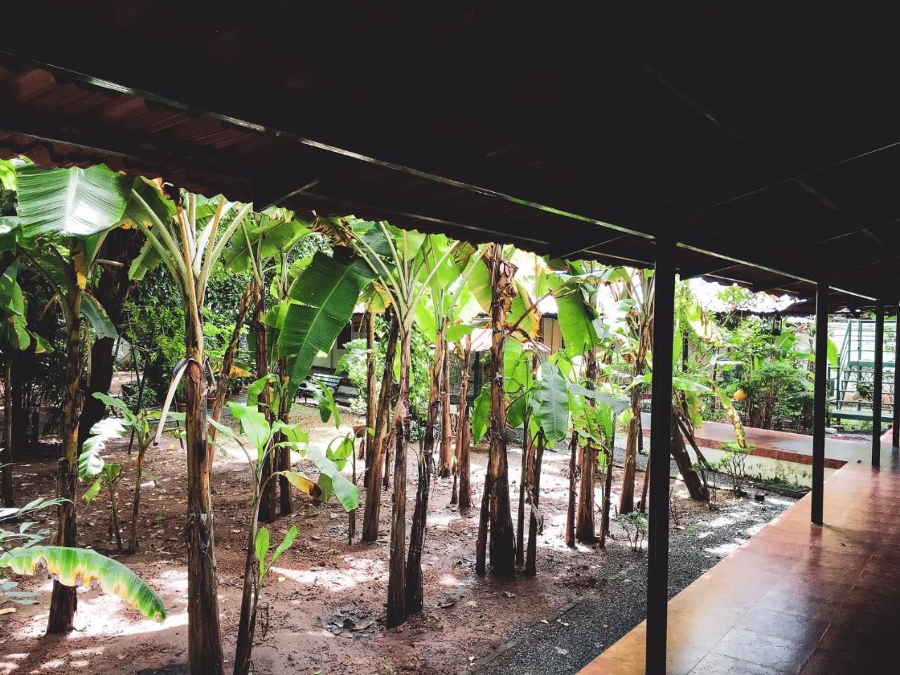 Palm Grove Service Villa Kochi Luaran gambar