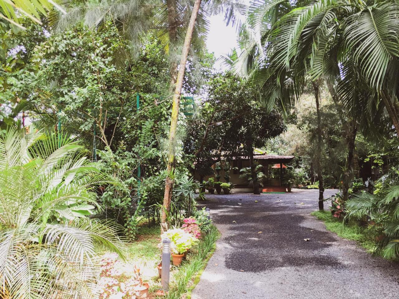 Palm Grove Service Villa Kochi Luaran gambar