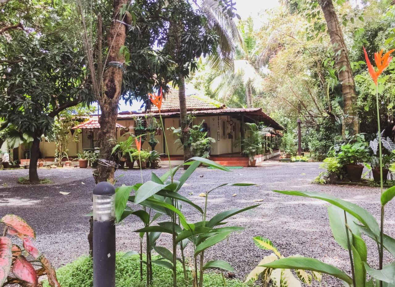 Palm Grove Service Villa Kochi Luaran gambar